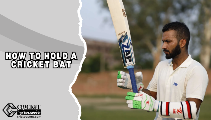 Step by Step Guide How to Hold a Cricket Bat with Practice Drills