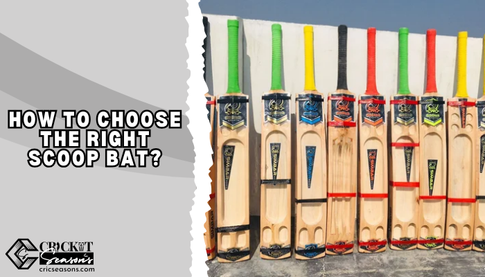 What is a Scoop Bat How to Choose the Right Scoop Bat