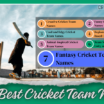 List of 7 Best Cricket Team Names Categories for You