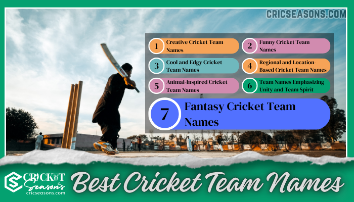 List of 7 Best Cricket Team Names Categories for You