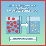 According to the Rules of Osmosis a System Will Move How